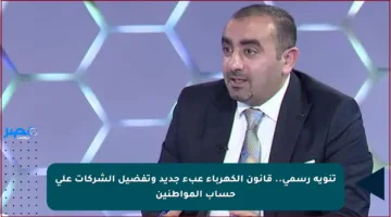 تنويه رسمي.. قانون الكهرباء عبء جديد وتفضيل الشركات على حساب المواطنين